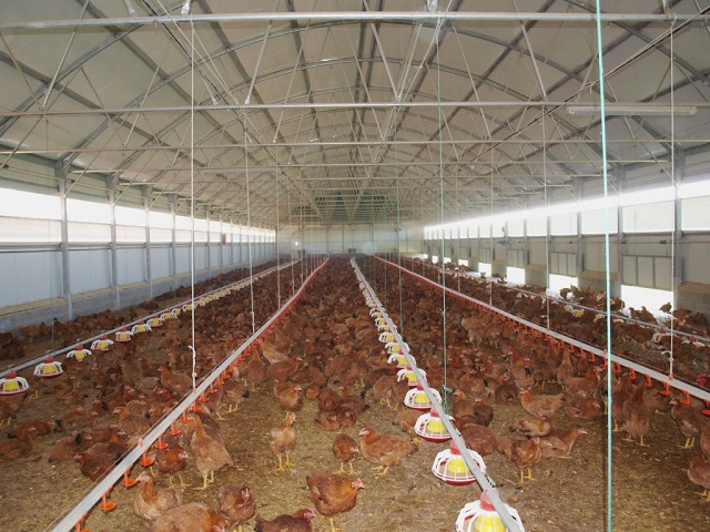agricultura2.jpg