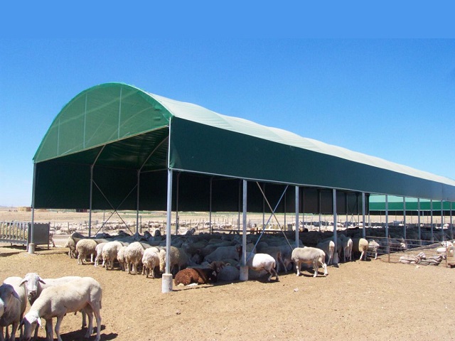 agricultura3.jpg